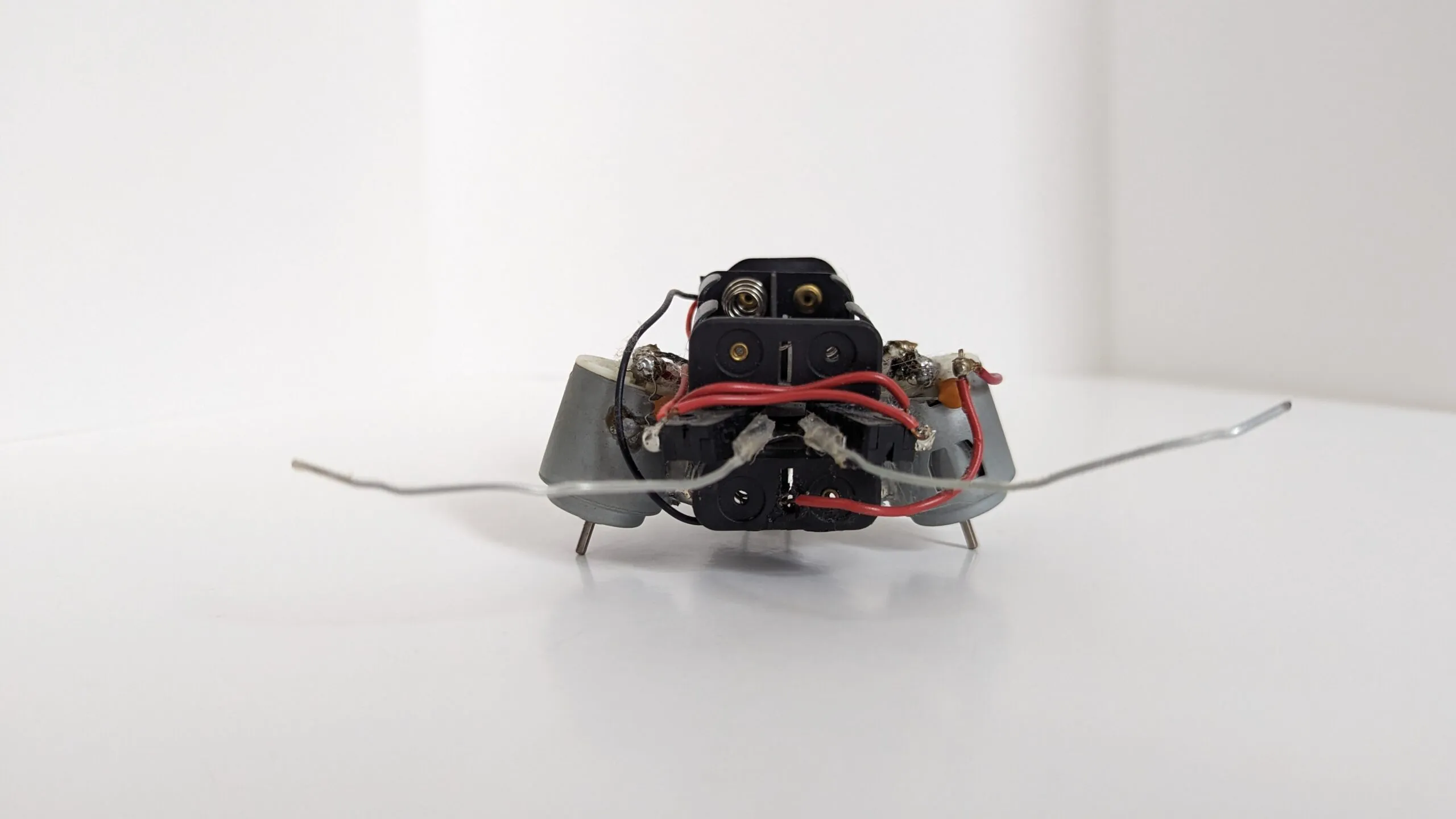 Front view of a Beetle at table level, motor shafts for legs and wire feelers spread wide