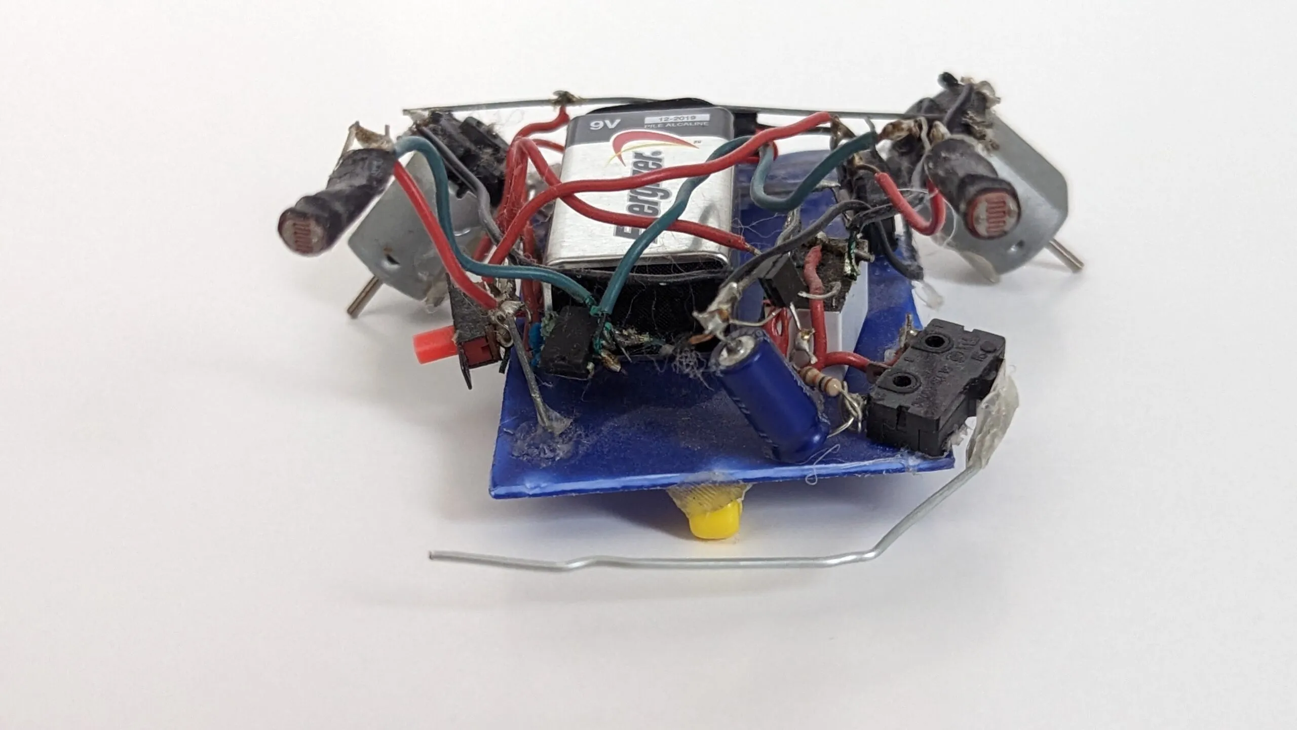 Herbie face on: photoresistor eyes at the ends of outstretched motors, whisker sweeping ahead