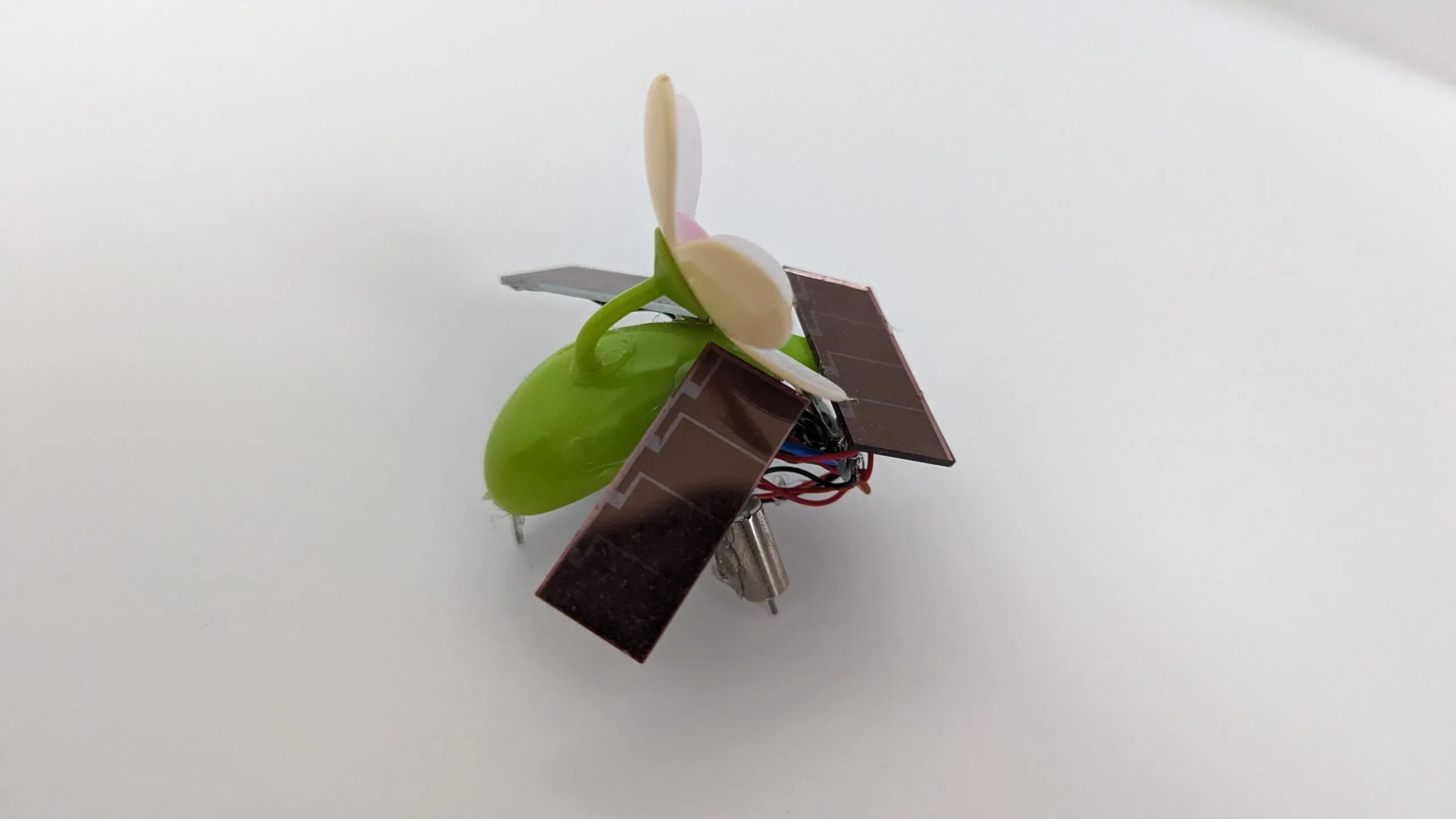 SymFlower v2 from behind: the green pod body carrying stem, wings, and motor feet