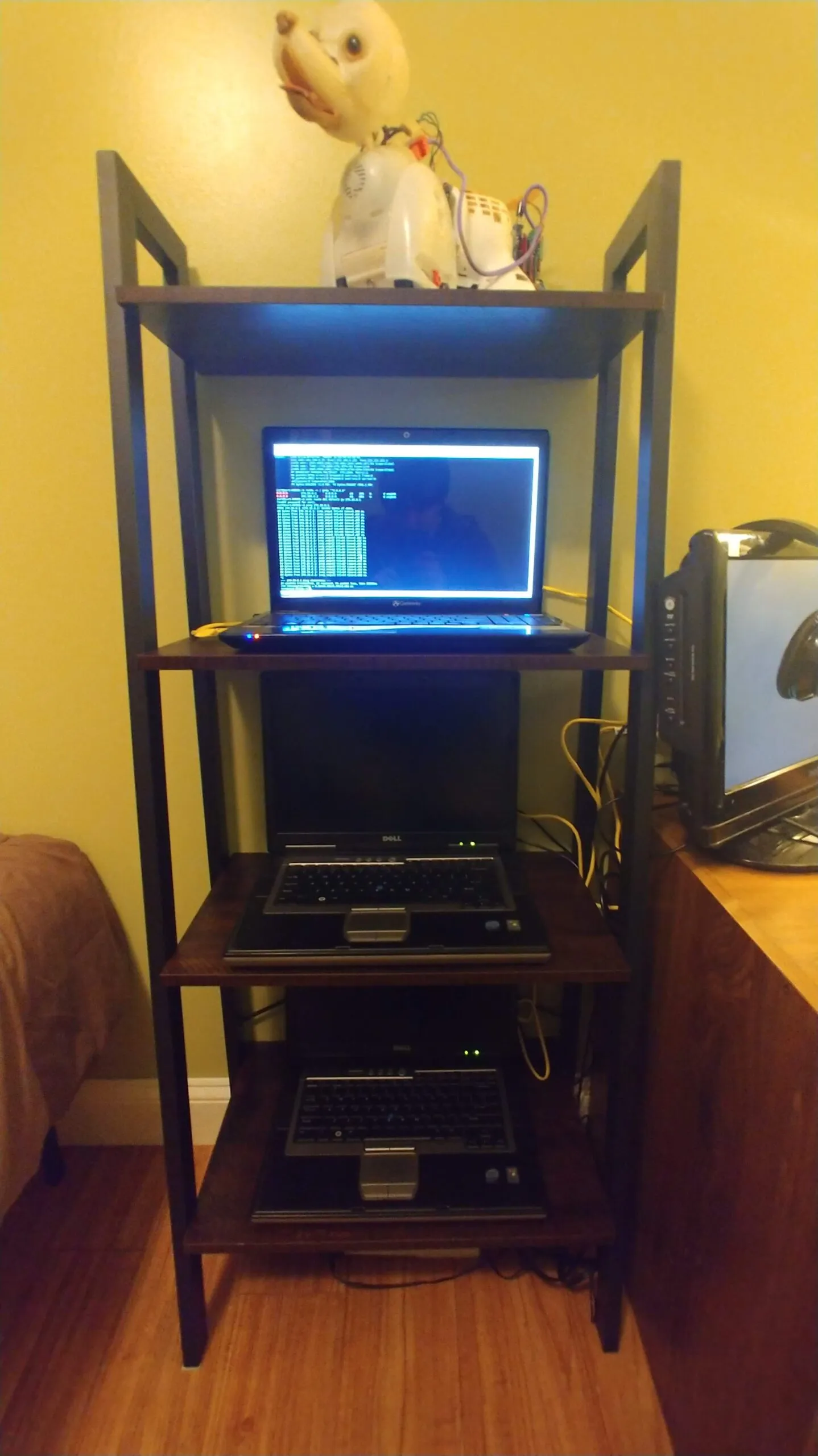 Three laptops stacked on bookcase shelves wired into a makeshift server rack, with Bubbles the robot dog perched on the top shelf