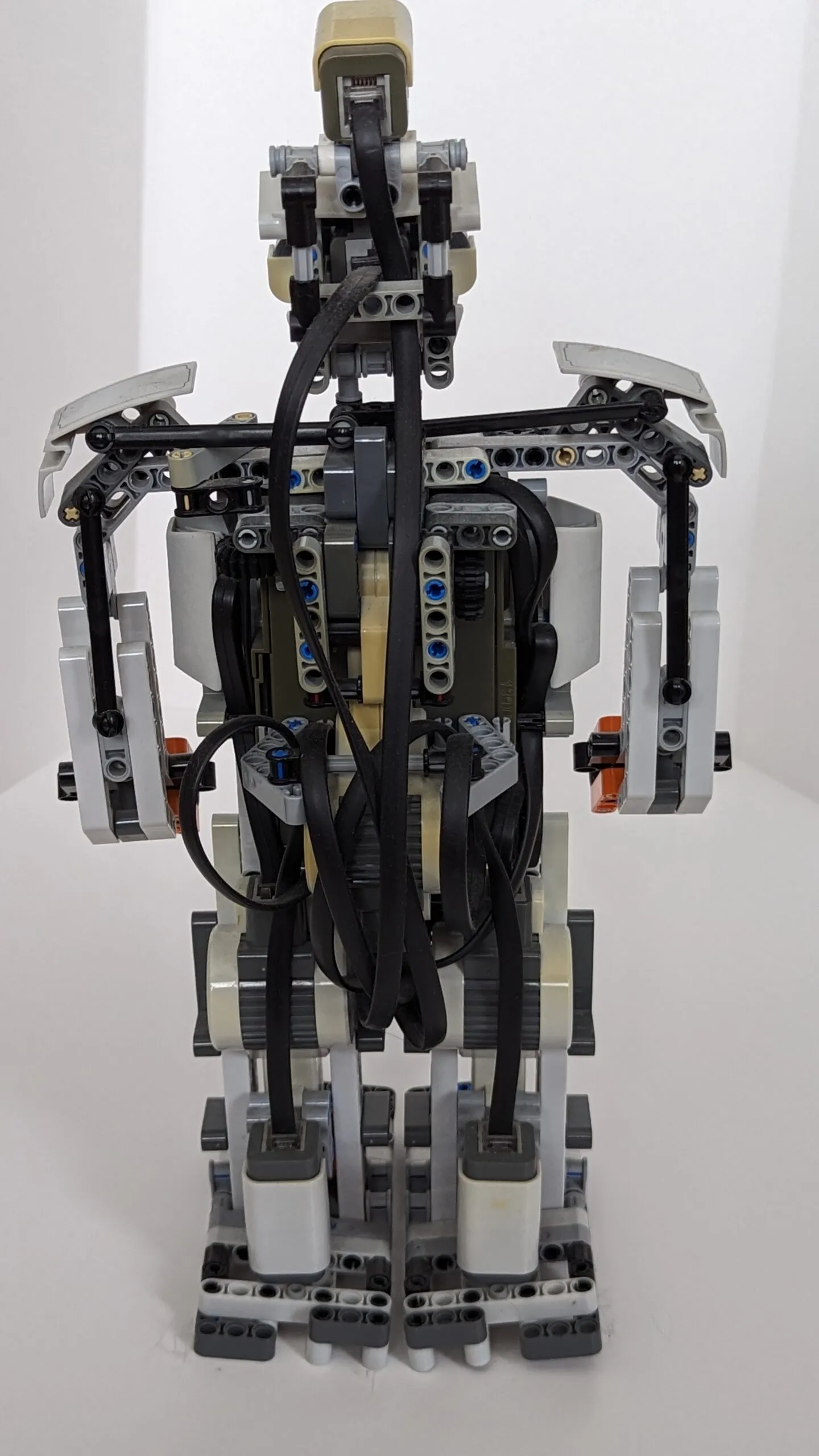 Beta Rex from behind, NXT cables braided down its back