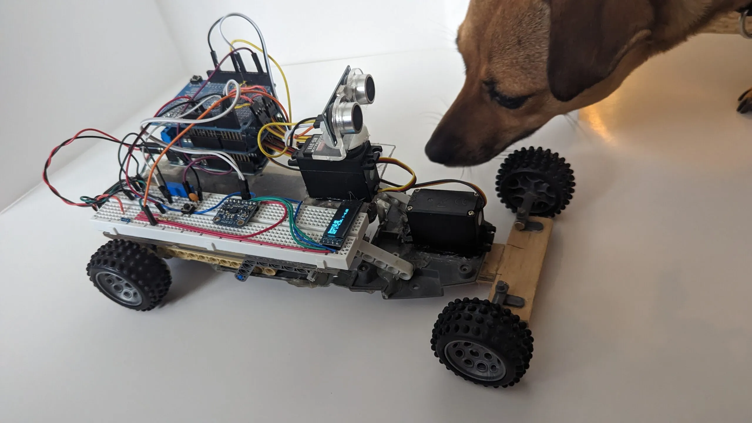 RoverBot getting a close sniff-inspection from the shop dog