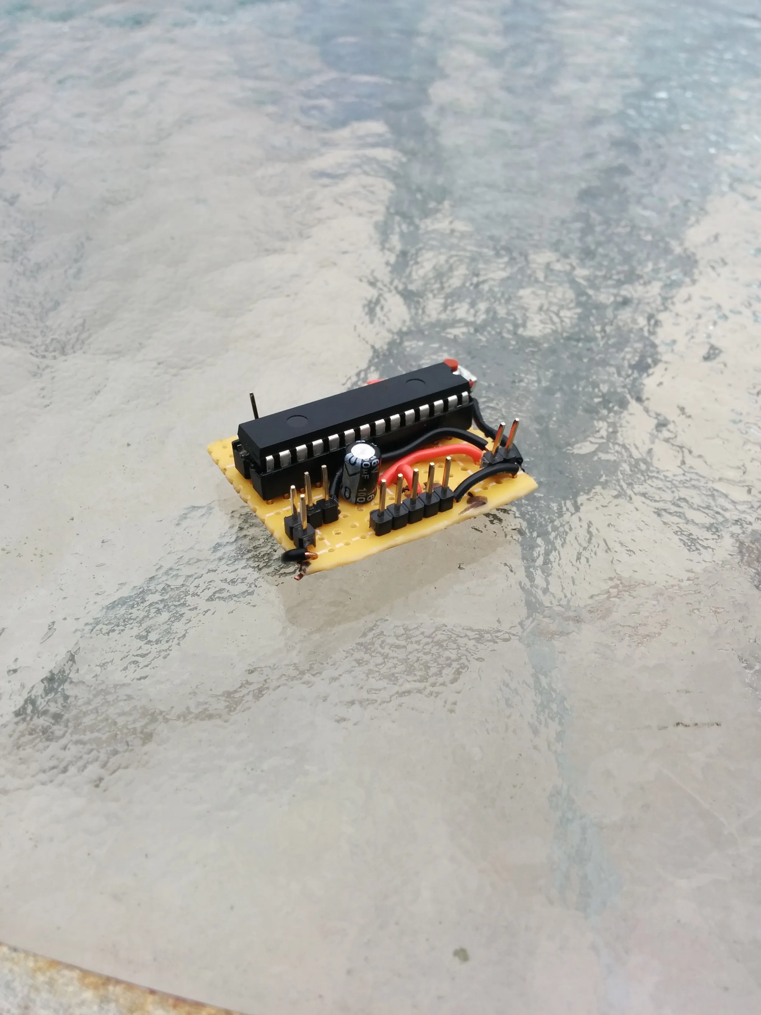 Triclops's controller: a PIC on perfboard with a lone electrolytic and header pins